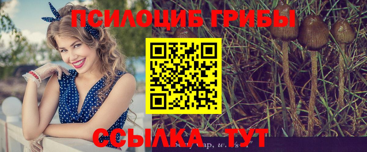 Галлюциногенные грибы Psilocybine cubensis Уфа